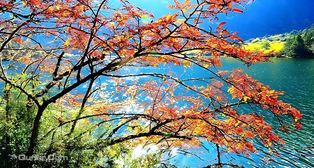 康定木格措景区第 3 张图片