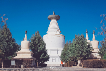 凉州白塔寺第 43 张图片
