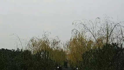 团氿风景区-宜园第 30 张图片