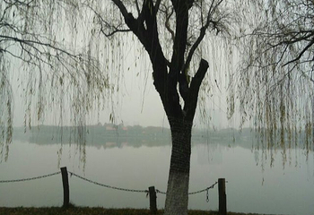 未央湖游乐园第 19 张图片