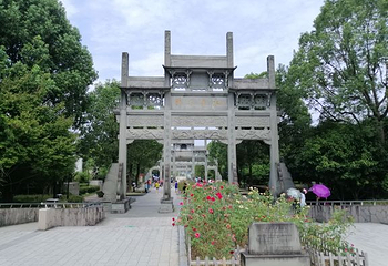 千岛湖中心湖区休闲艇（中心湖旅游码头）第 15 张图片
