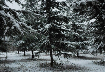 庙子沟滑雪场第 12 张图片