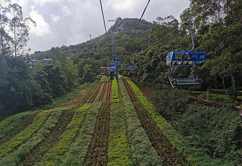海南白石岭旅游区第 118 张图片