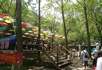 蒙山大佛第 47 张图片