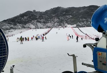 金佛山北坡景区第 23 张图片