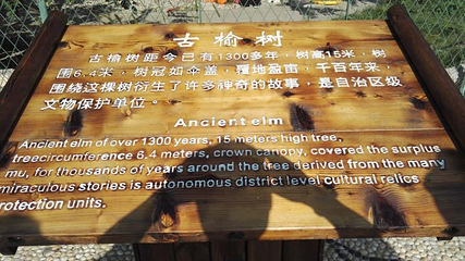 古榆园第 5 张图片