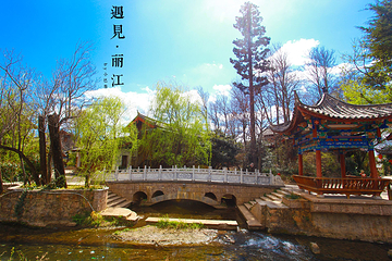 束河古镇第 99 张图片