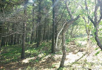 白草洼国家森林公园第 42 张图片