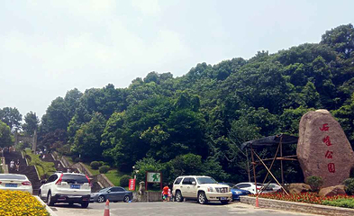 石峰动物园第 21 张图片