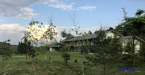 五营红松林海景区第 48 张图片
