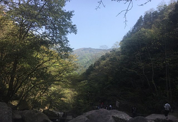 安吉龙王山风景区第 24 张图片