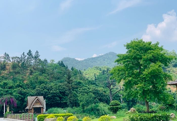小黄山景区第 21 张图片