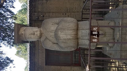 袁林第 31 张图片
