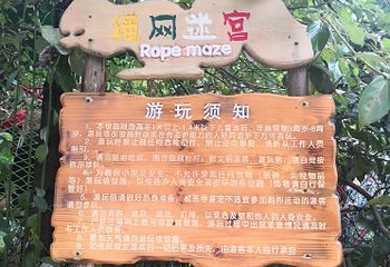 松鼠的森林第 60 张图片