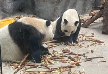 鄂尔多斯野生动物园第 29 张图片