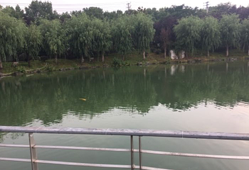珍珠泉水上世界第 13 张图片