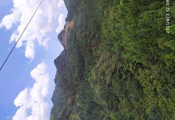 梅花山旅游景区第 29 张图片