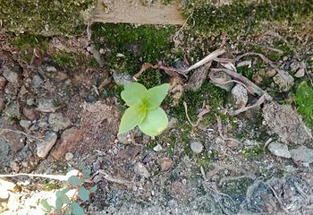 富春桃源风景区第 61 张图片