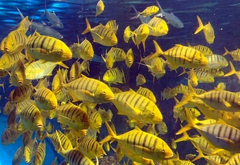 天津玛雅海滩水公园第 56 张图片