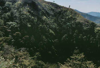 景忠山第 21 张图片