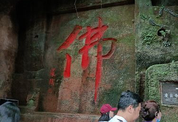 黄龙溪蝴蝶迎新主题园第 8 张图片