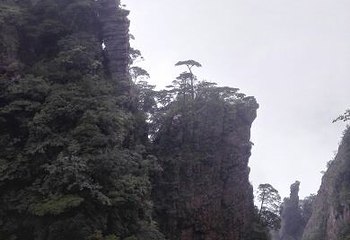 金秀圣堂山景区第 32 张图片