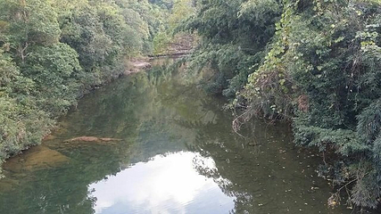 百鸟乐园第 21 张图片