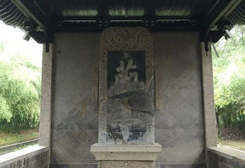 百草园第 30 张图片