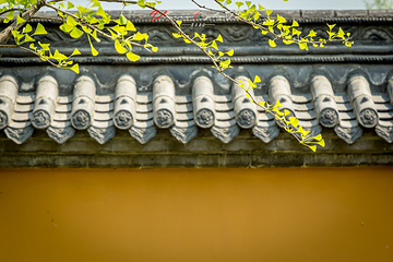 温泉寺第 10 张图片