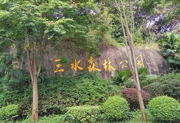 三水森林公园第 44 张图片