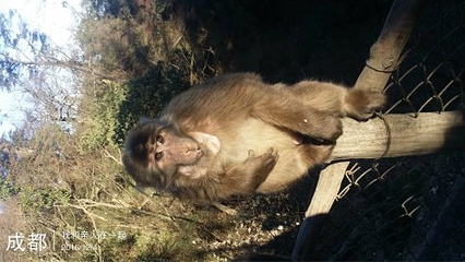 仙芝竹尖生态园第 21 张图片