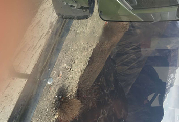 朱角山第 3 张图片