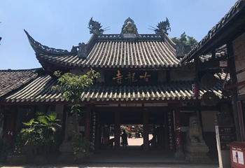 黄龙溪蝴蝶迎新主题园第 14 张图片