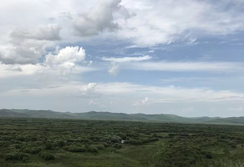 黑山头列夫湿地庄园景区第 43 张图片