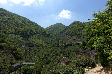 东白山第 19 张图片