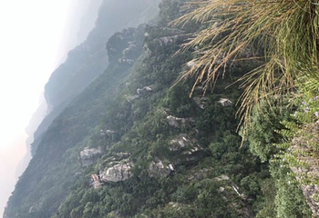 庐山含鄱口索道第 23 张图片