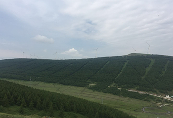 天鹿大本营第 21 张图片