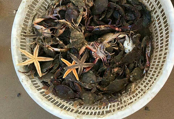 白沙湾海滨浴场第 23 张图片