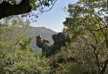 绿林山风景区第 58 张图片