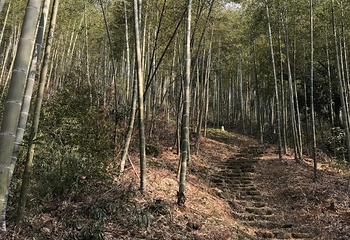 灵峰山-灵峰寺第 11 张图片