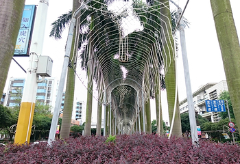 兴中道第 3 张图片