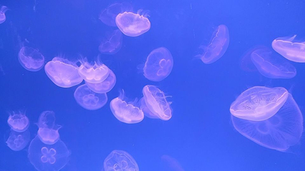 左海公园第 27 张图片