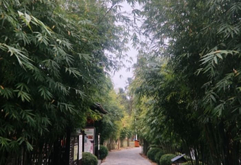 崇阳浪口森林温泉第 25 张图片