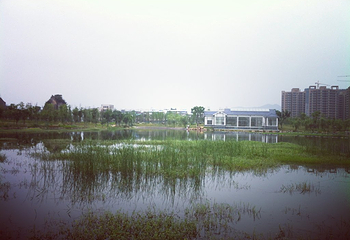 杨府山第 14 张图片