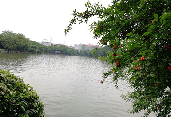正阳步行街第 34 张图片