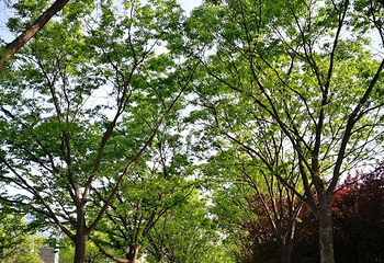 淮海战役烈士纪念塔第 23 张图片