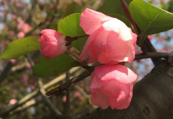 荻浦花海第 18 张图片