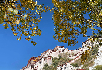 小昭寺第 17 张图片