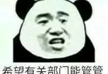 伊帕尔汗薰衣草观光园第 52 张图片