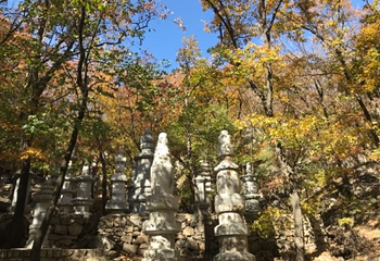 盘山第 102 张图片